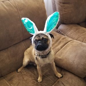 Meet your Posher, Melanie